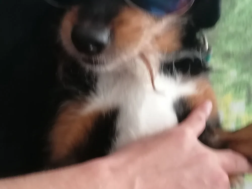 oliver2384's Offline XXX Chat