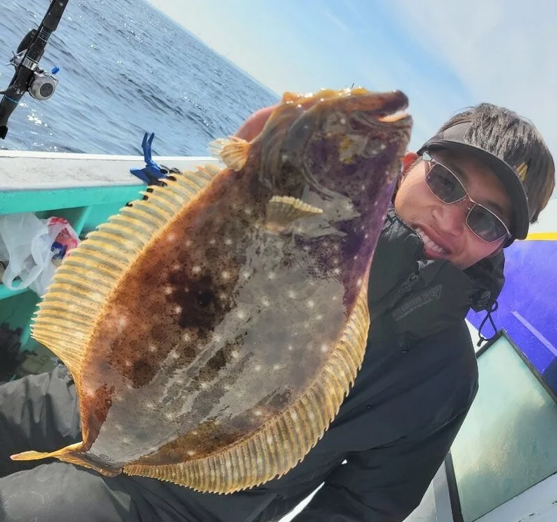 623is 离线XXX聊天