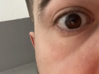 LienalWarplane profile