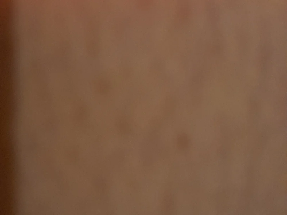 Plodrodder: офлайн-секс-чат