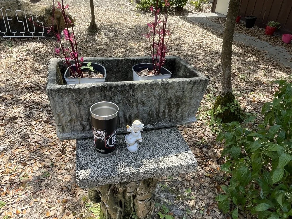 WithdrawnPapersのオフラインXXXチャット