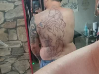 bra33's webcam live show