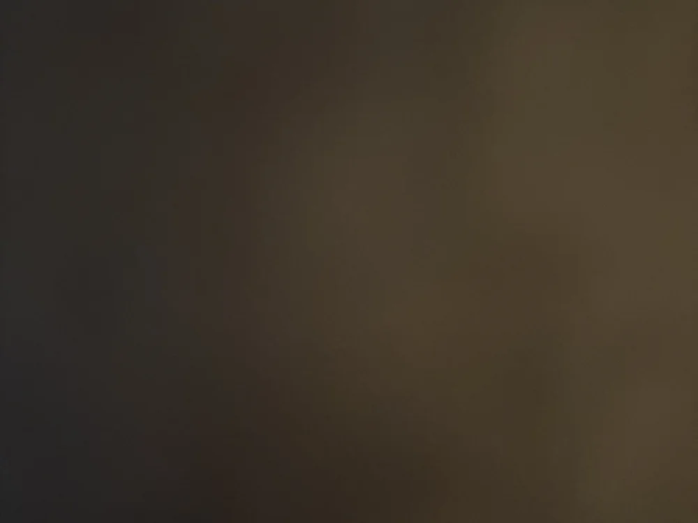 cover photo of lustyromainxx