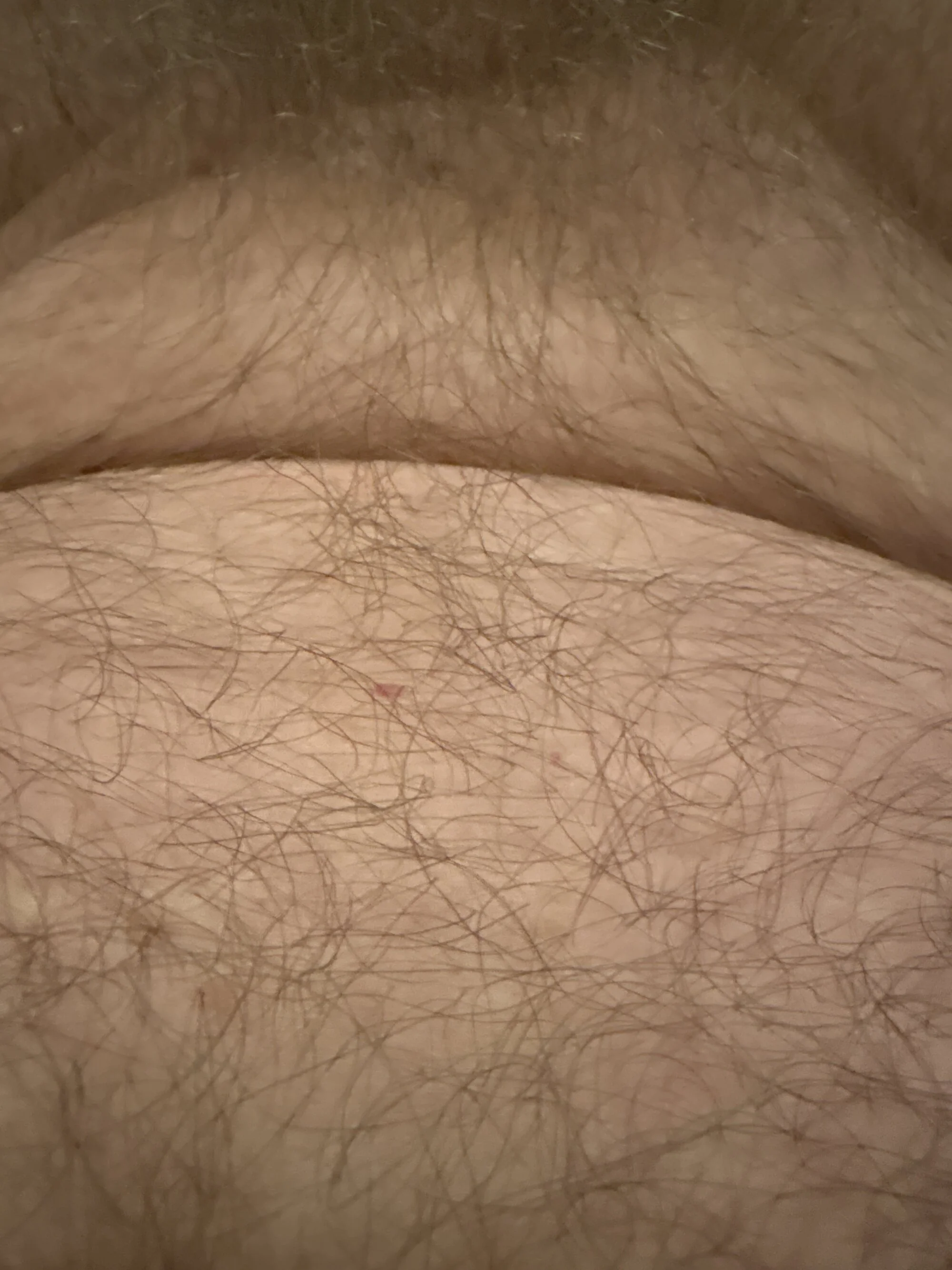benoitxxx live webcam