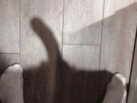 antoniodz23's webcam live show