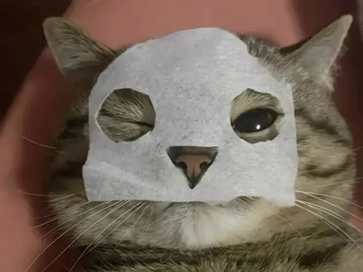 Davidxavier2112 - Stripchat Cam2cam Eroticdance Masturbation Boy 