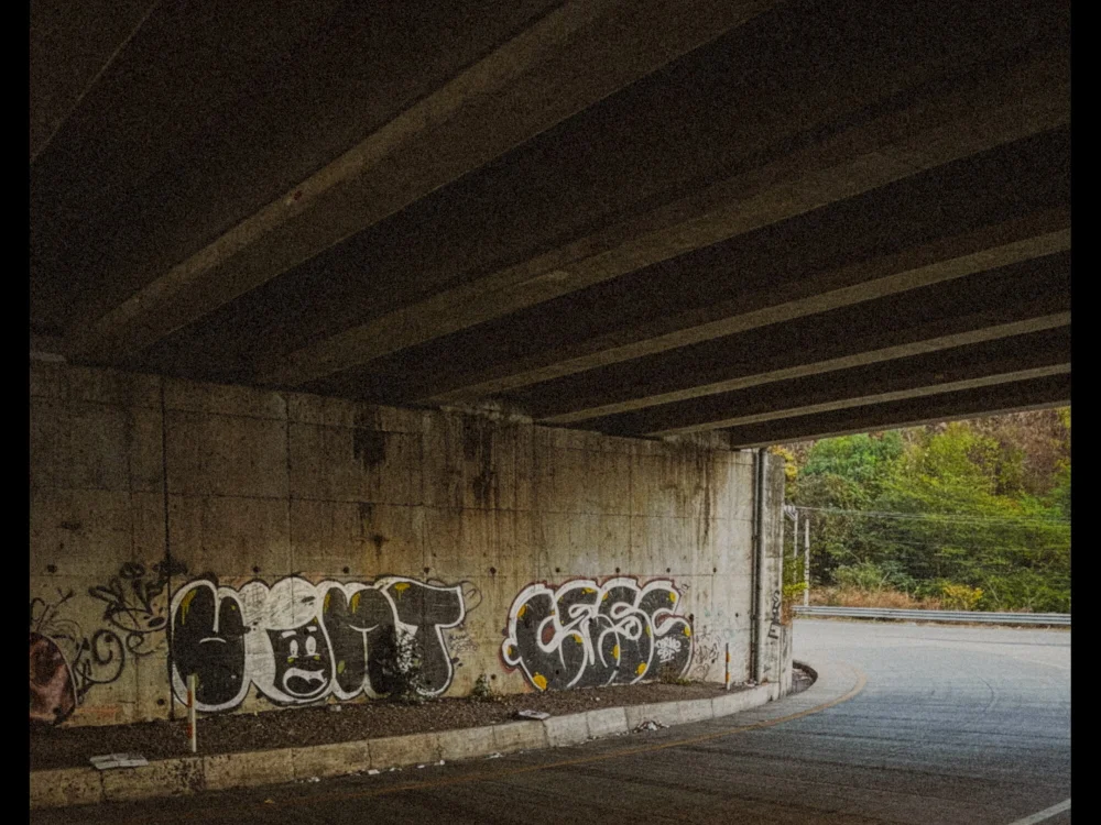 Chat +18 off-line de darknaturrre