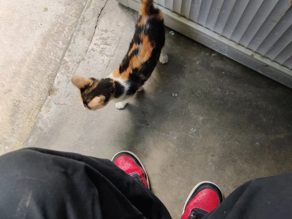 Offline XXX chat ElGafe1224