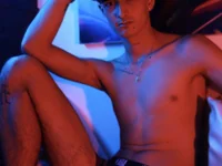 Модель DimitryHank