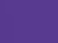 Модель kylie_st