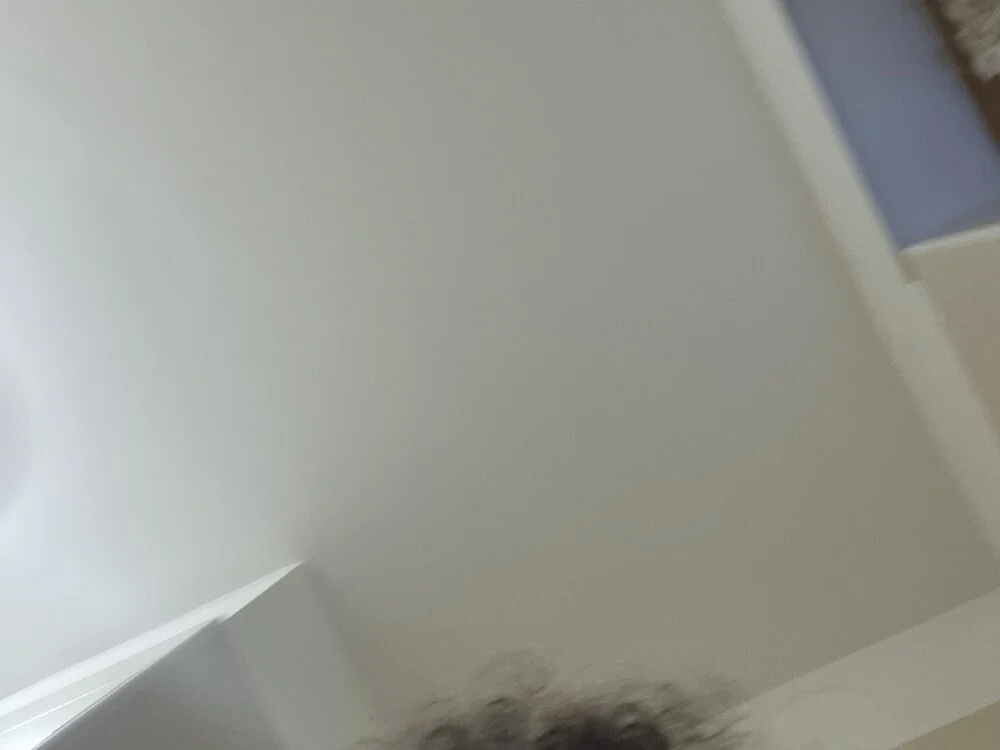 Chat +18 off-line de IoAndrea