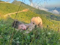 Модель AshleyD_