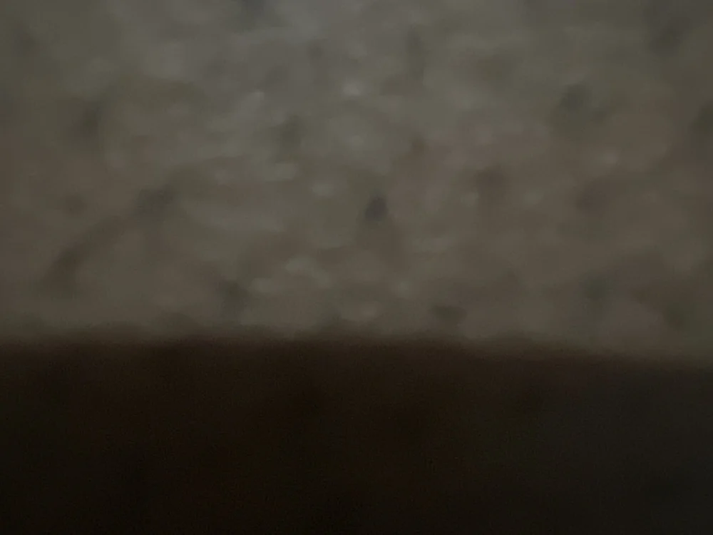 blackdick39