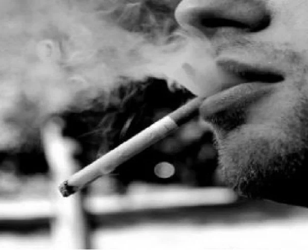 Chat XXX offline de LiONTURK