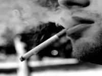 Модель LiONTURK