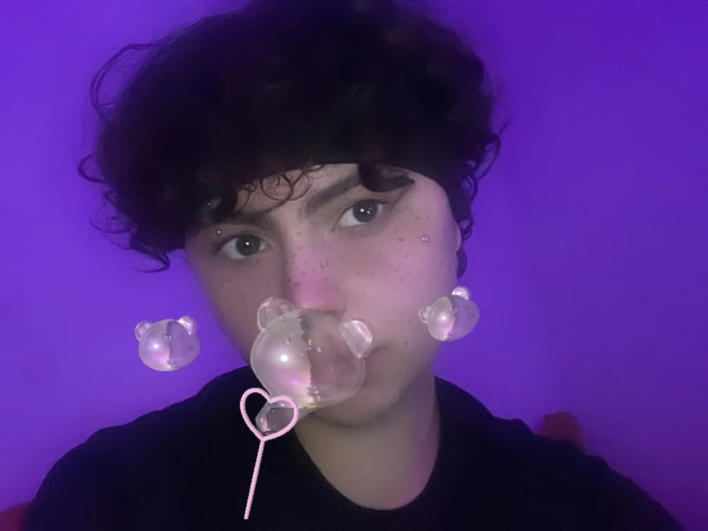 bunnyadam offline chatrum