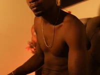 Модель Thomas_shelbys