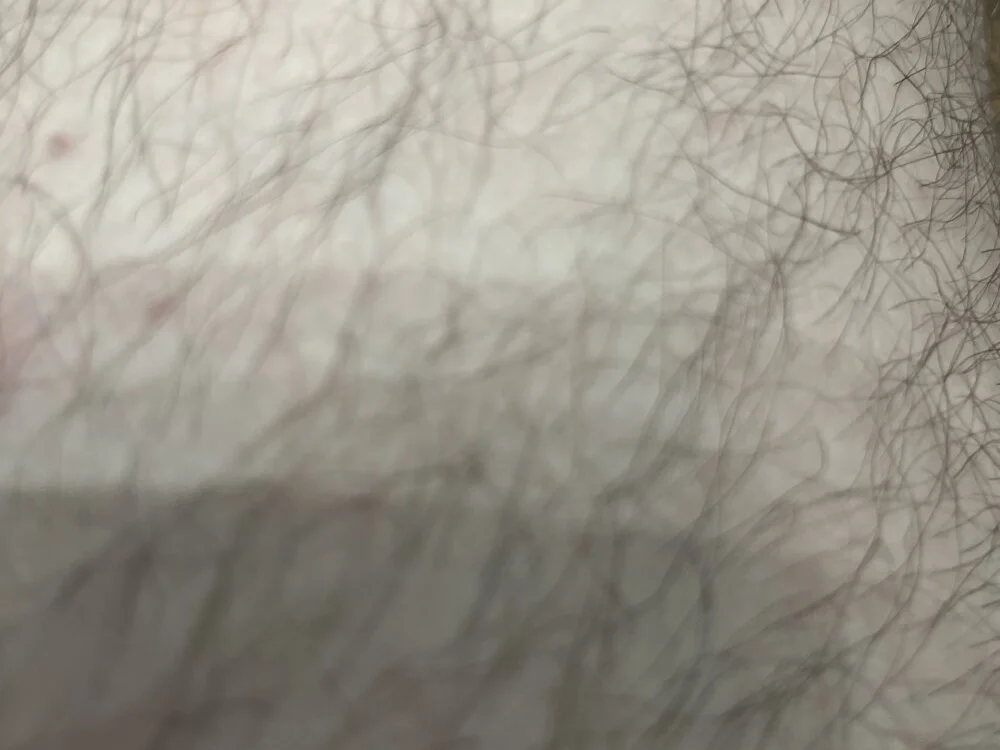 Chat XXX offline de Pollon1994