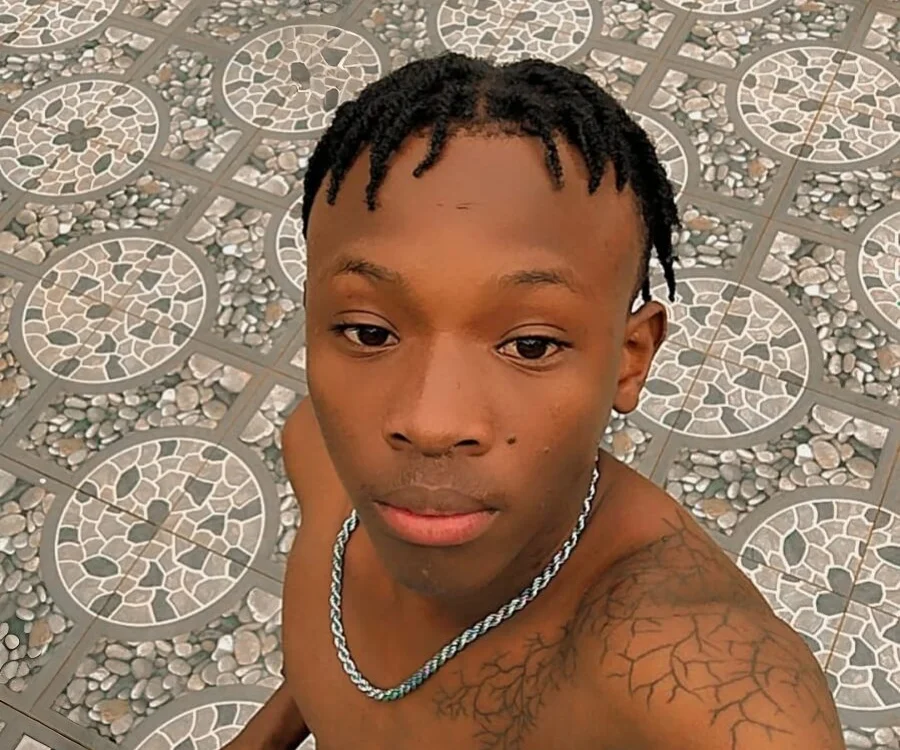 Chatroom XXX hors ligne de SeducemeSoft