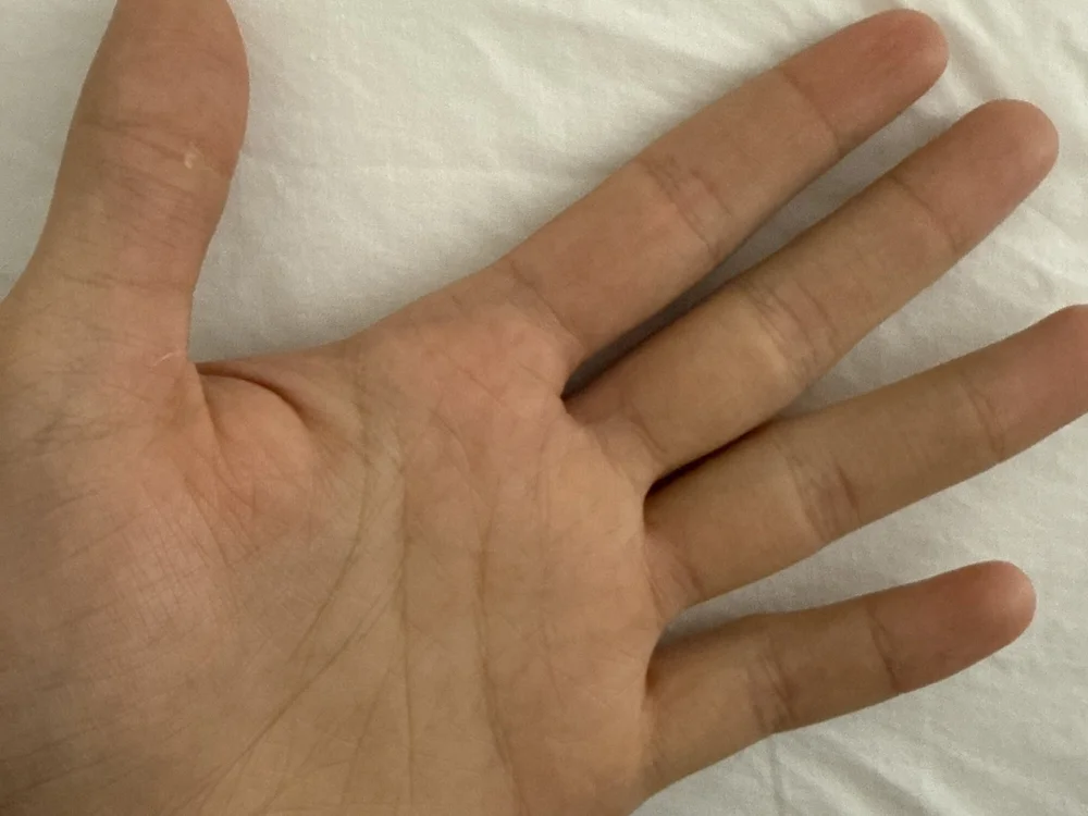 Adamhorny18 Offline XXX-chat