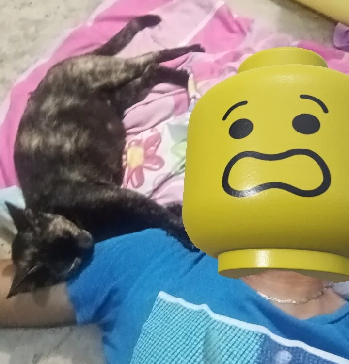 Flako953000