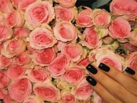 stricred's webcam live show