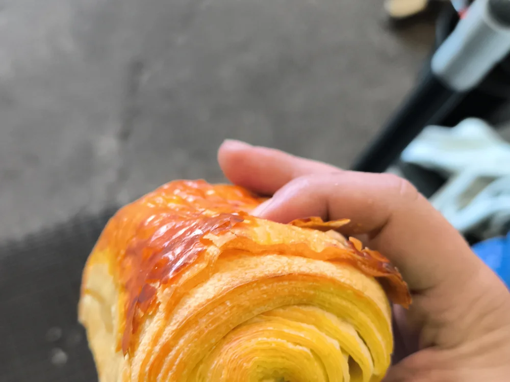 xaviier7777 离线XXX聊天