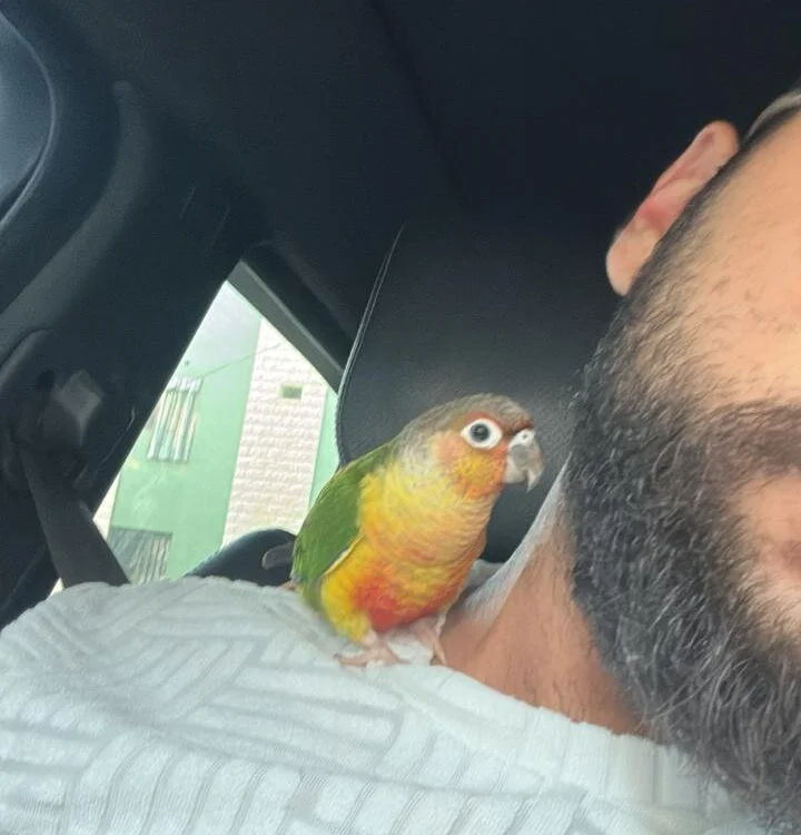 Abou__LaYLa31 离线XXX聊天