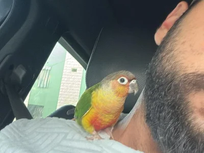 Abou__LaYLa31 profile