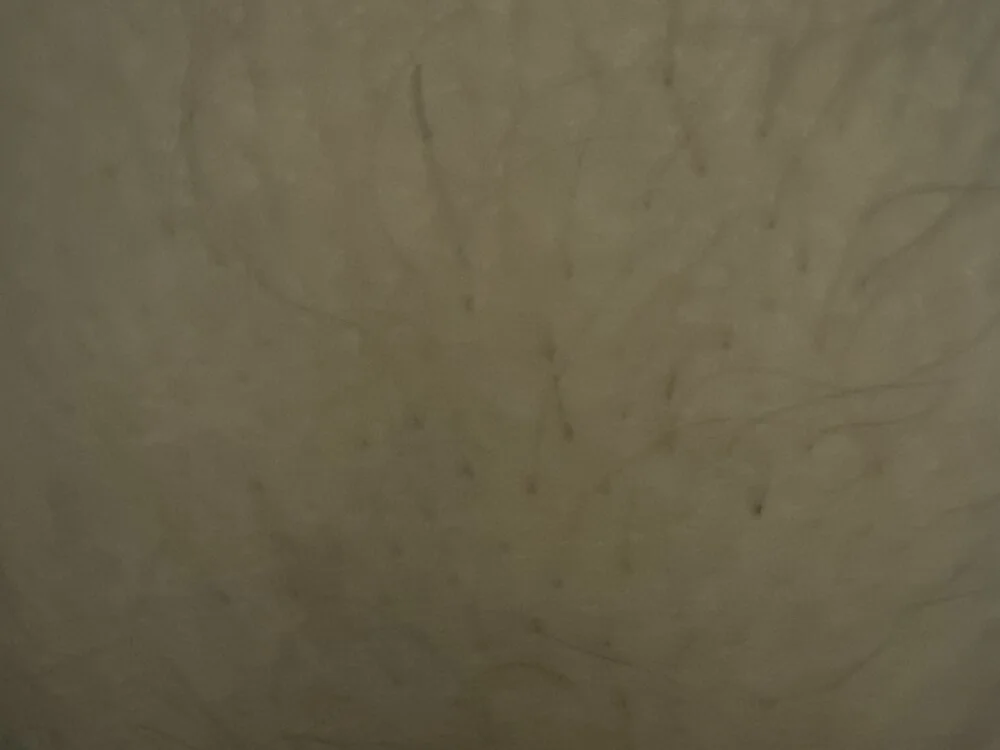 Strong_bull 離線 XXX 聊天