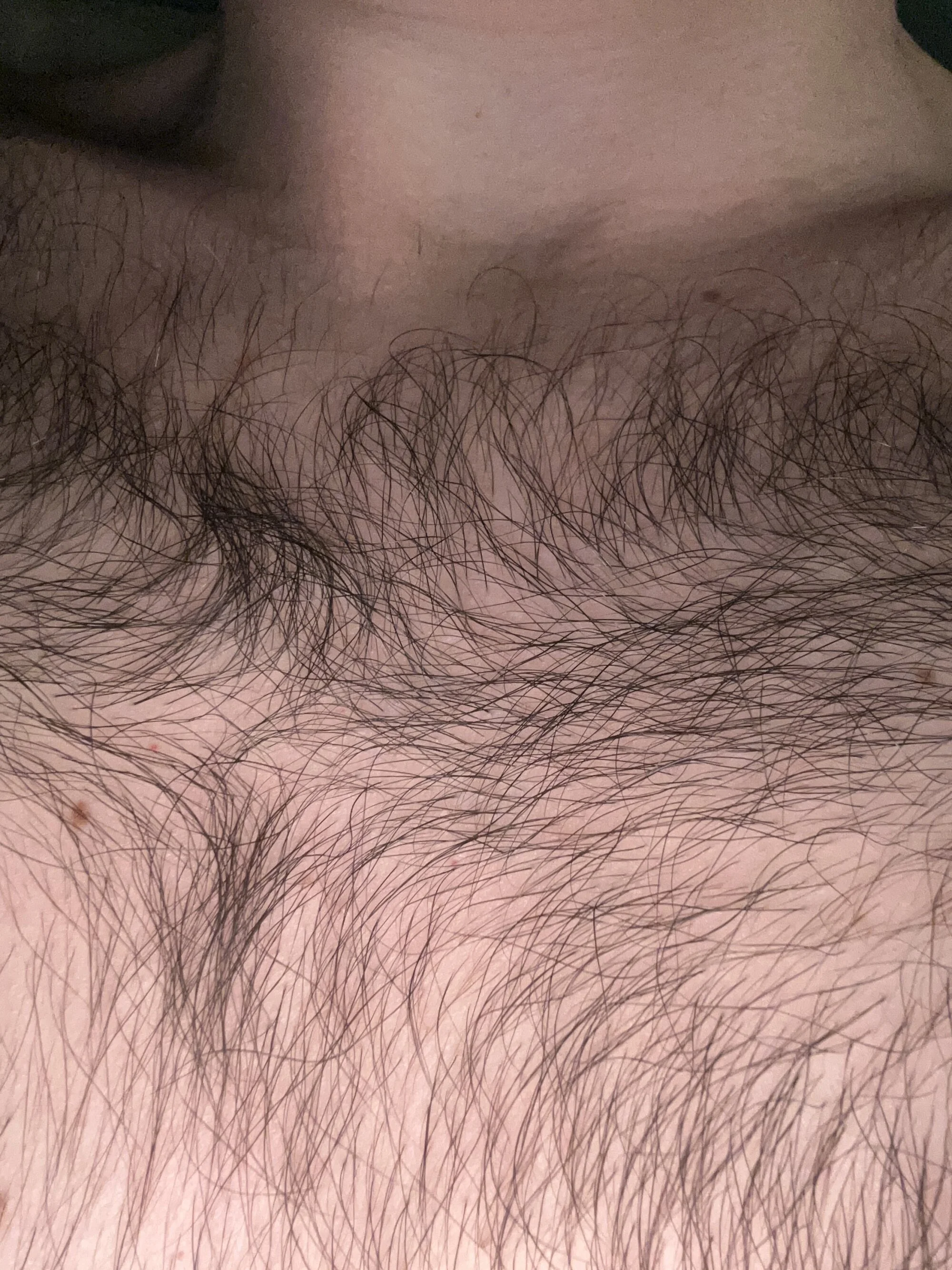 amdreia89 live webcam