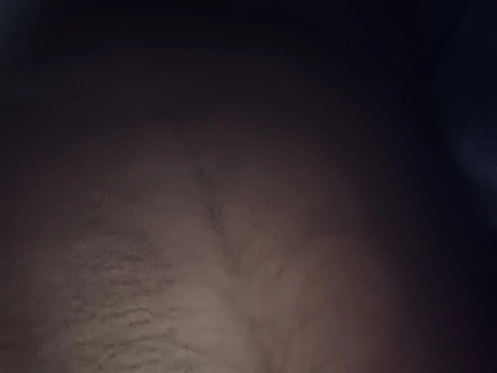 แชท XXX ออฟไลน์ของ SisterlyFarmhand