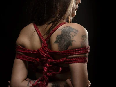 Violet-Queen profile