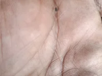 paviammu webcam
