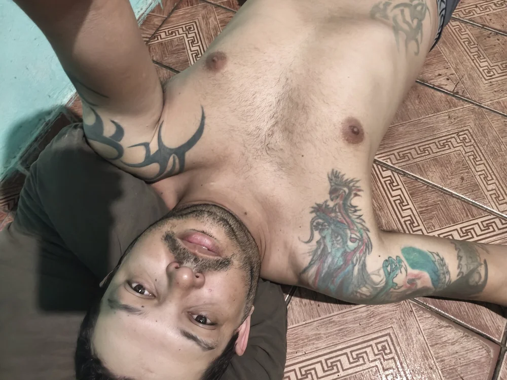 coroanovinha