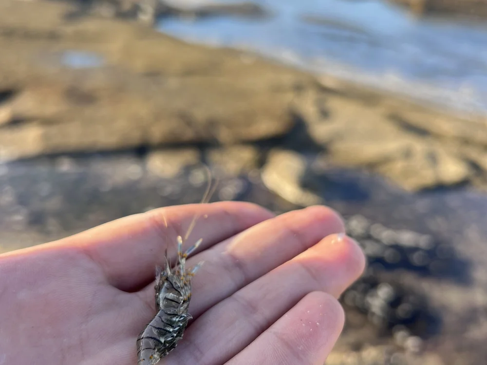 Chat +18 off-line de Blacktourmalinee