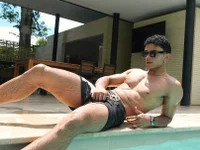 Модель DanteeStone