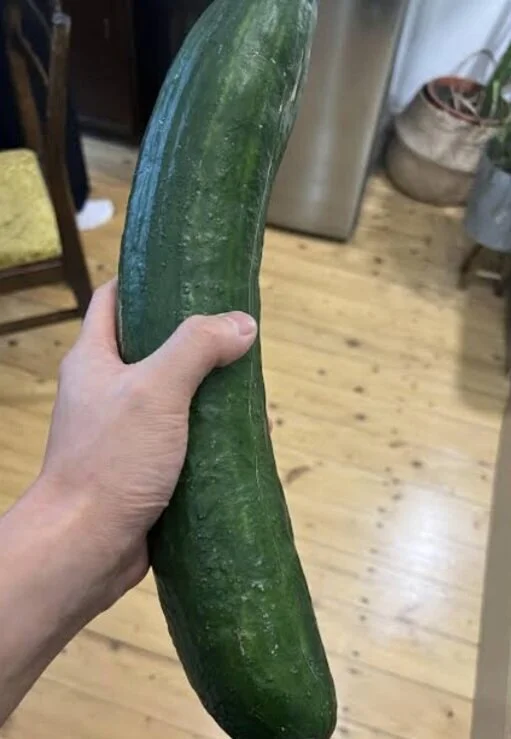 foto de portada de Sapeca23400