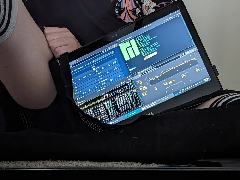 VelvetCheeks' Offline Chat Room