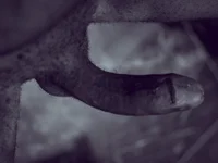 دردشة BigdickSparkz1 الجنسية المباشرة