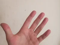 Elcomandantevegeta