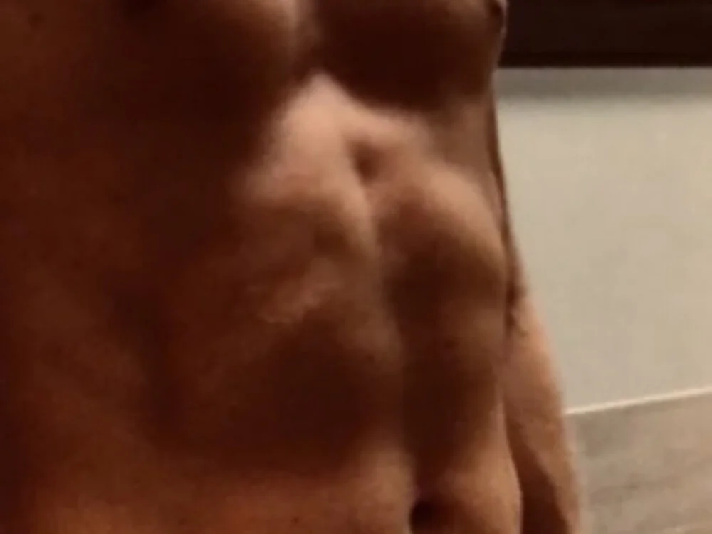 ProSelect's Offline XXX Chat