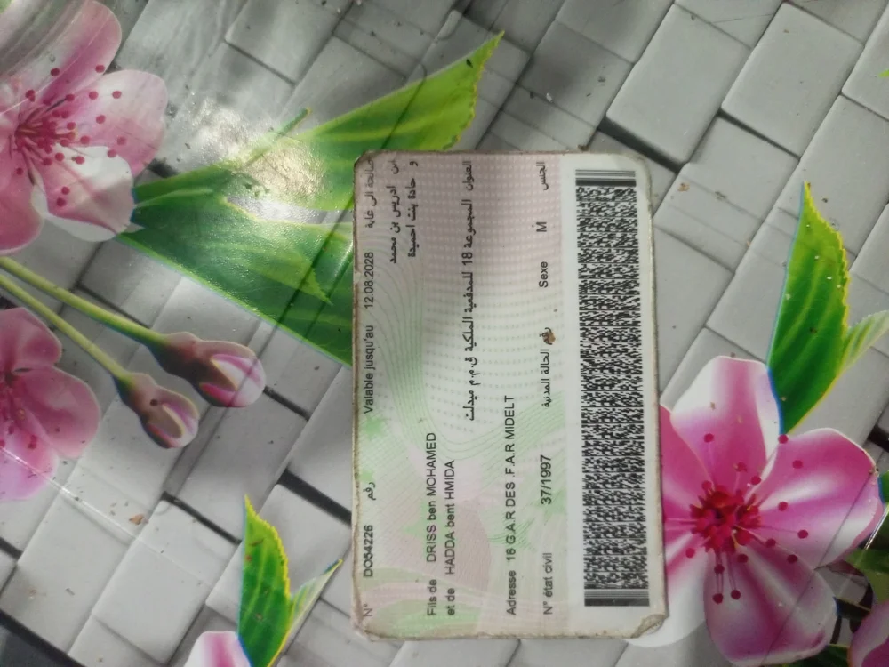 alae1235 的封面照片