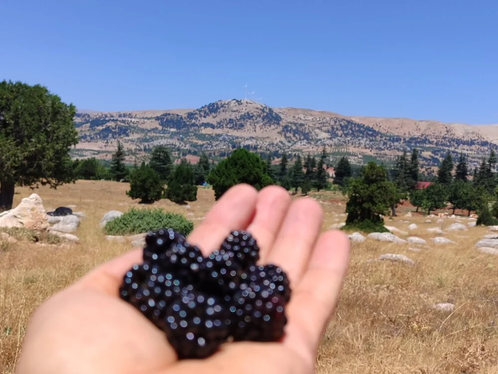 Chat XXX offline de 18cmyilmazta20