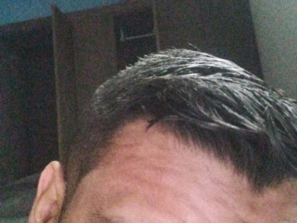 tonybarros offline chatrum