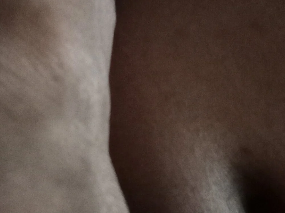 Jaakp790210: офлайн-секс-чат