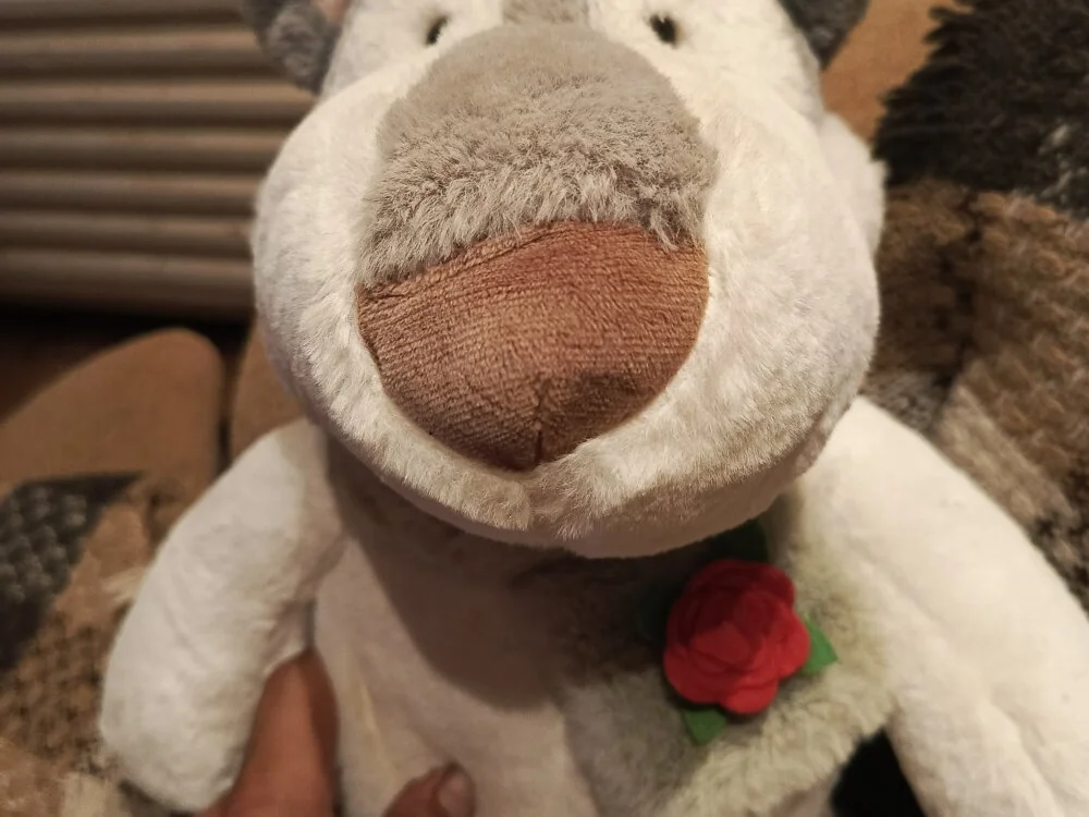 lovewomenlikin Offline XXX chat