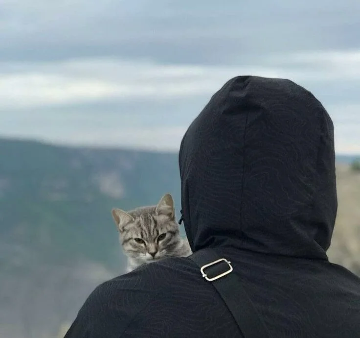 دردشة Idksvshskvsib الجنسية دون اتصال