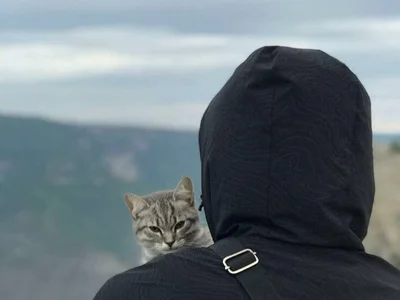 Idksvshskvsib profile