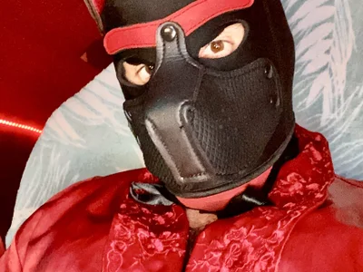 BigTail_CZ - Boy 